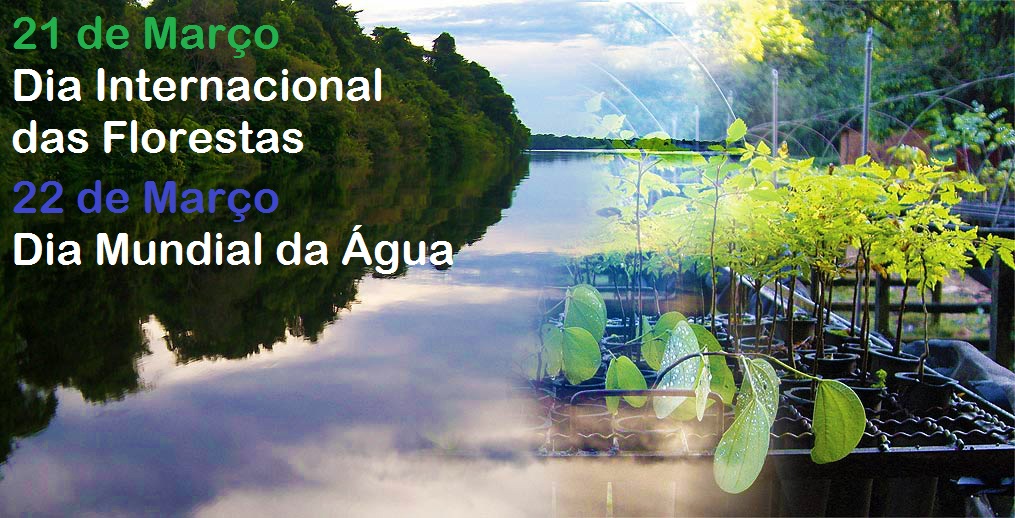 Itapemirim realiza ações em homenagem